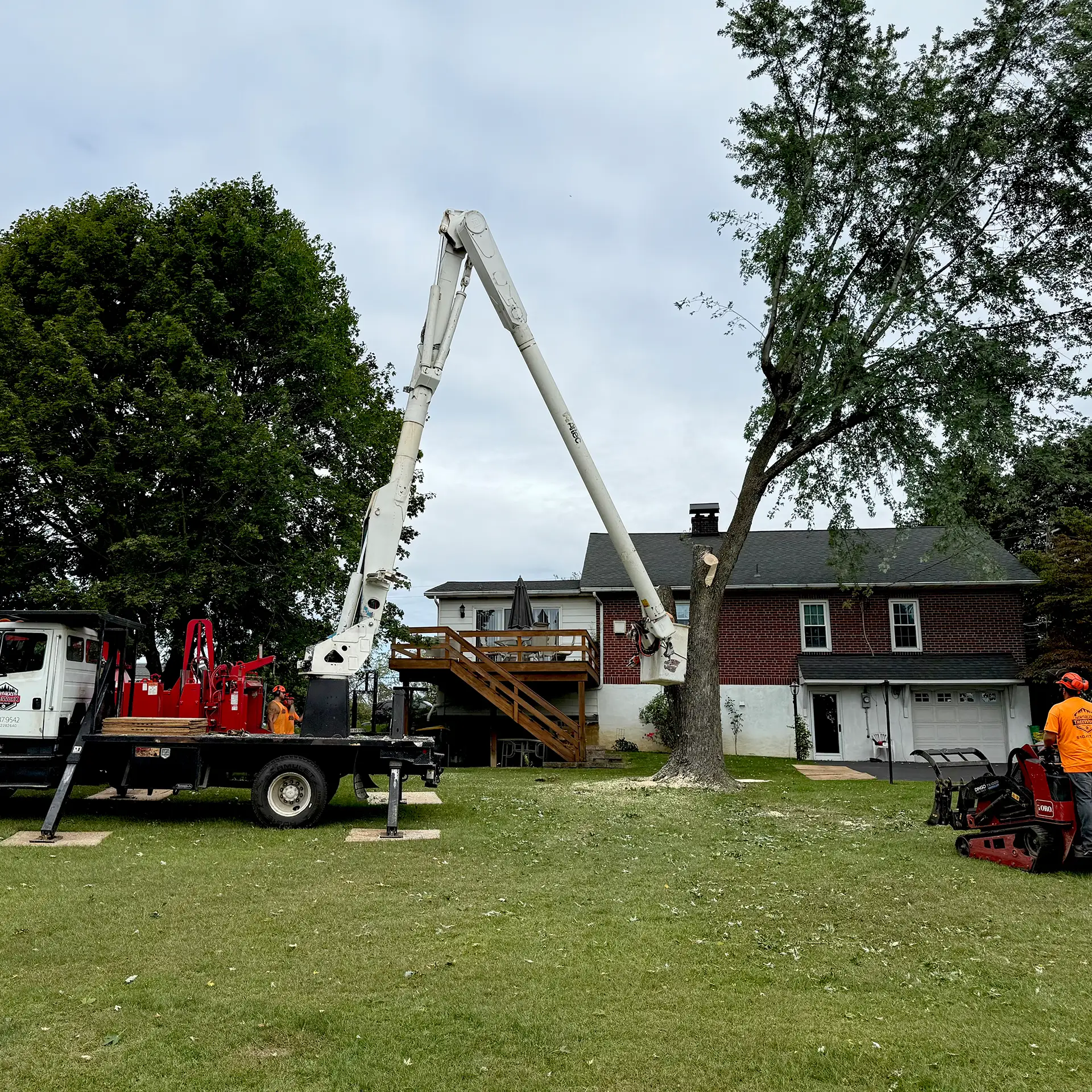 Tree removal crew using a crane truck to safely section a large tree in a residential backyard near a brick home.